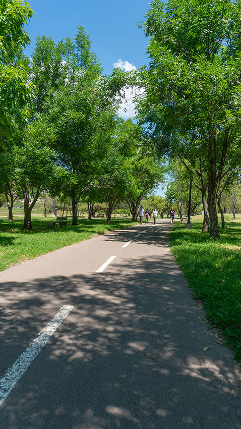 Camino en el Parque Metropolitano de León