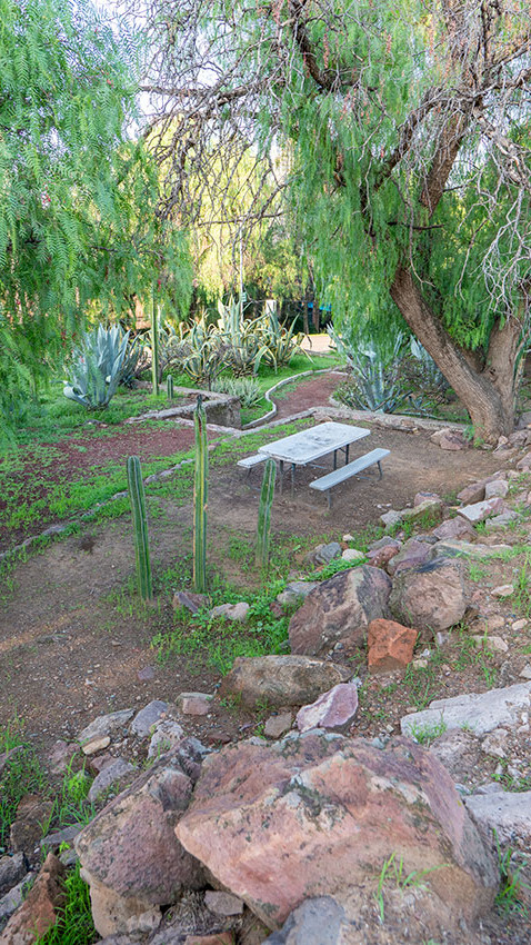 Zona de Picnic en el Parque Metropolitano de León