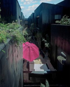 WhatsApp Image 2024 01 31 at 2.42.50 PM 2 240x300