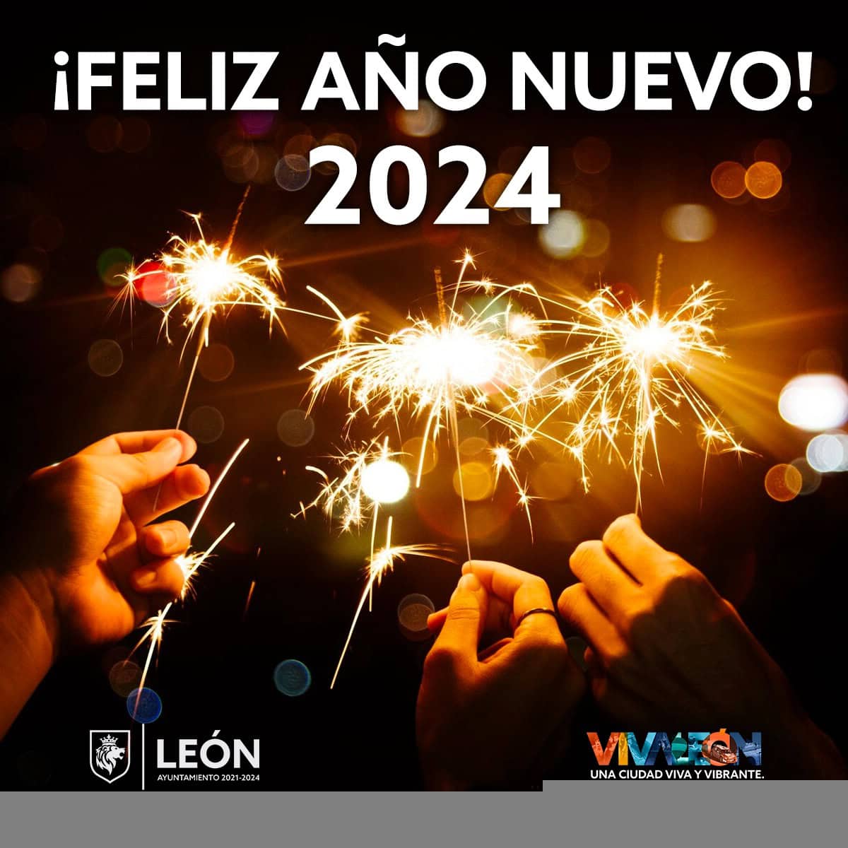 Feliz A o 2024 VIVA LE N feliz-a-o-2024-viva-le-n