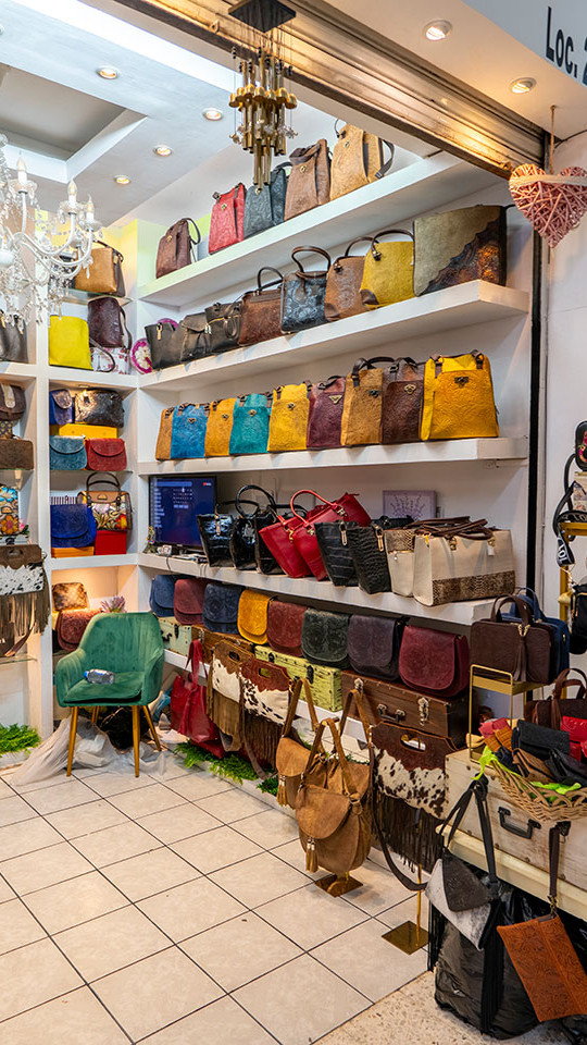 Zona Piel León Guanajuato