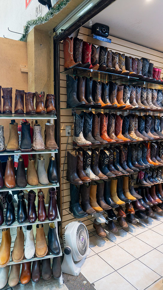 Zona Piel León Guanajuato