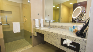 Hab Estandar Bano 300x169