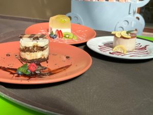 14DBF480 7B9B 4FA8 98DF 9C2108170932 1 105 c 300x225