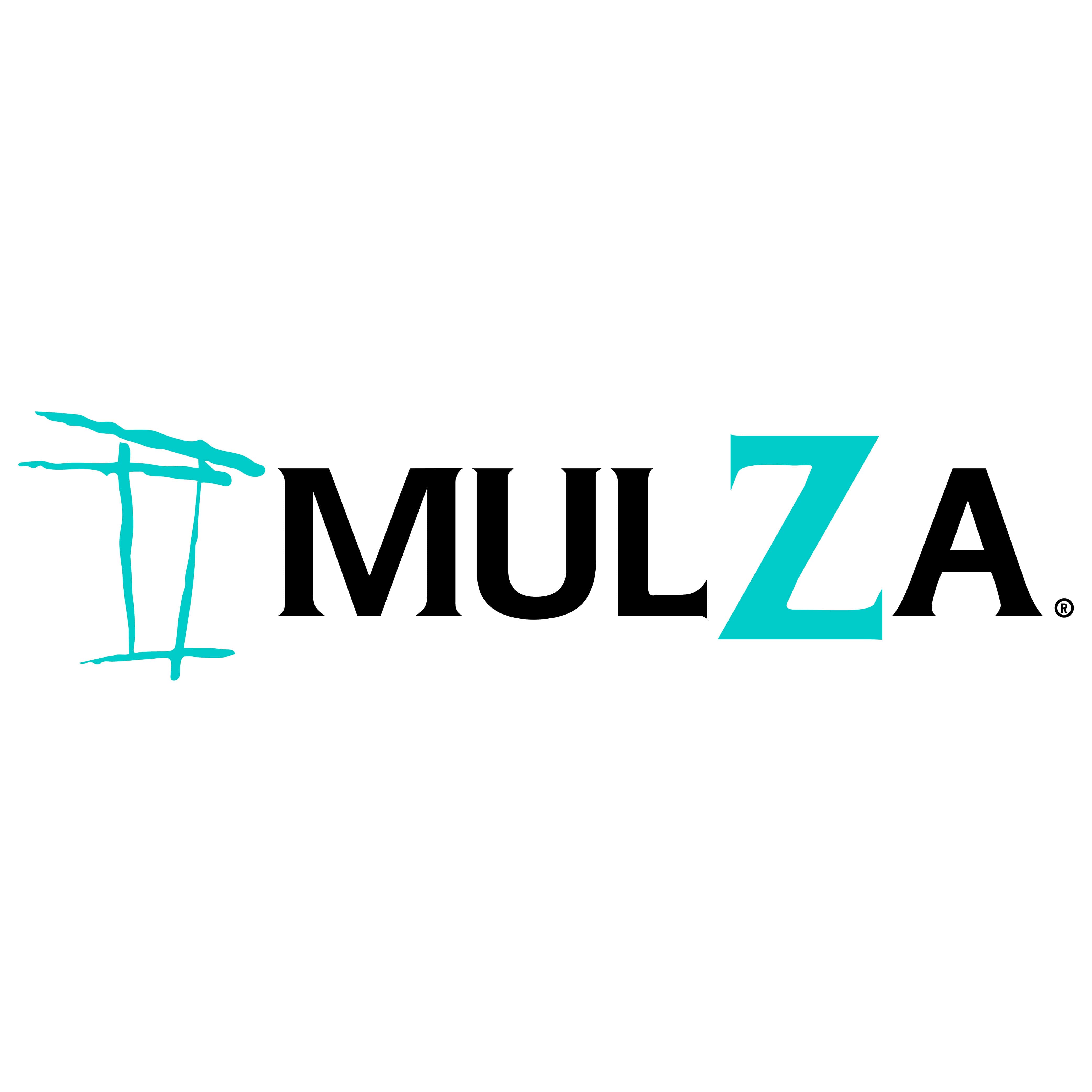 Mulza Logotipo Mesa de trabajo 1