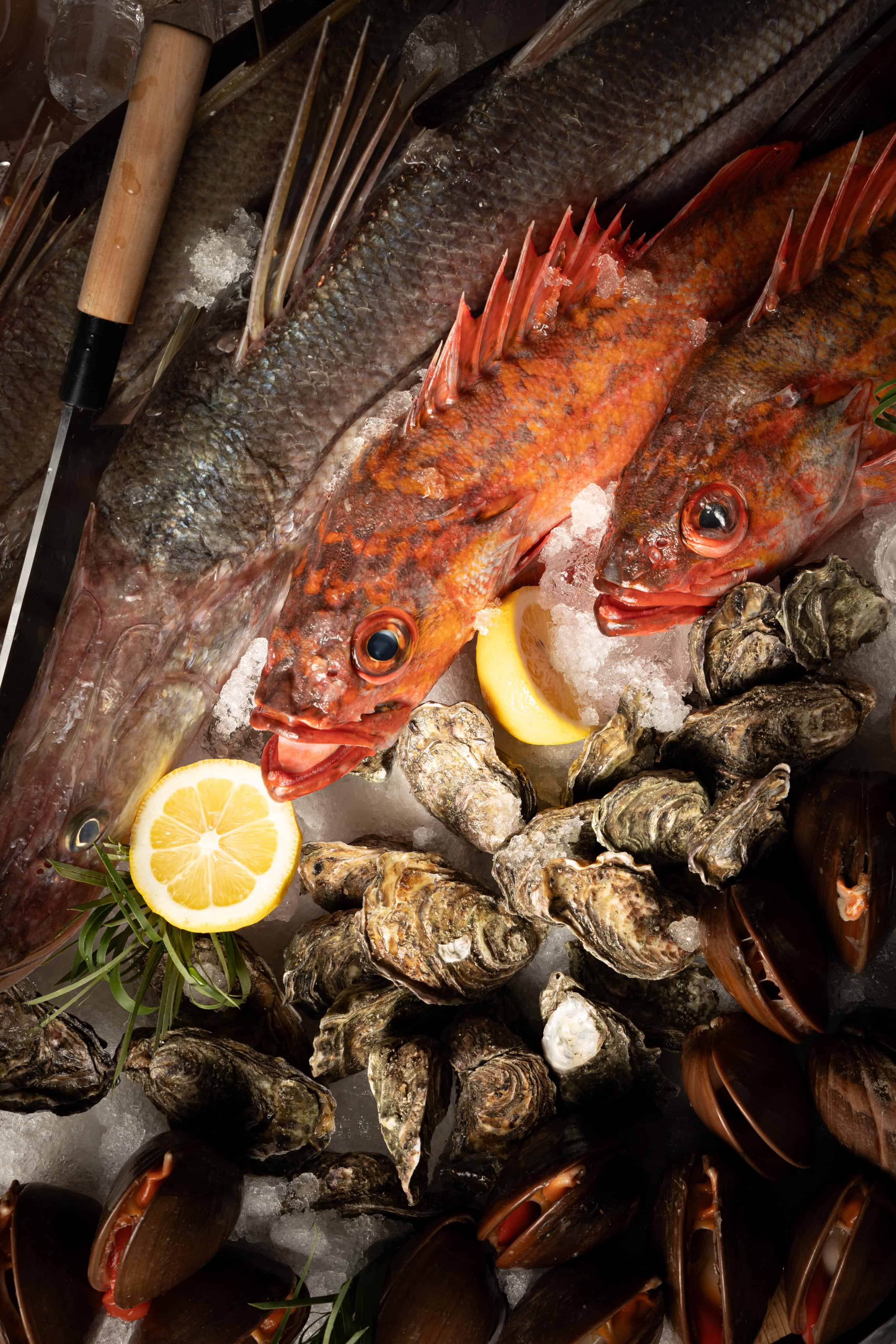 WhatsApp Image 2025 05 29 at 3.50.46 PM