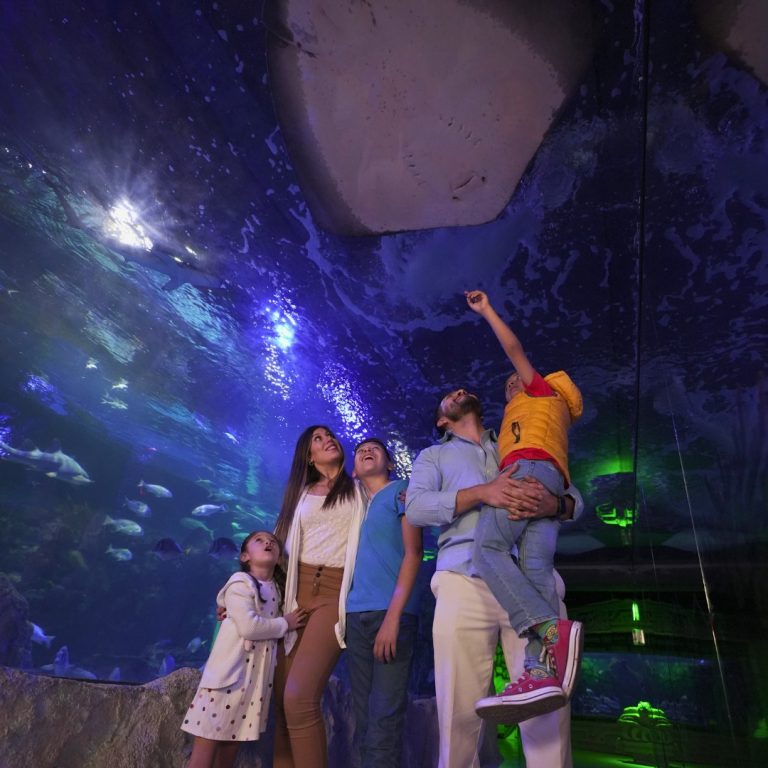 495353360 1114400990725658 1099638717270589209 n 768x768